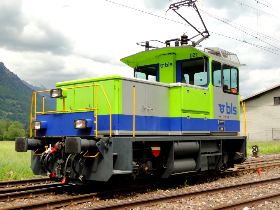 BLS Tea 245 021-1 pic2