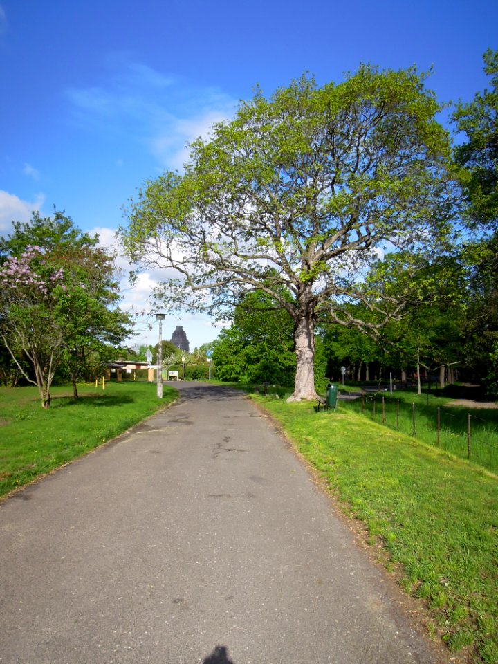 Blick von der Naunhofer Straße in Leipzig Richtung Völkerschlachtdenkmal Ende April 2018b