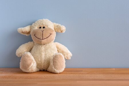 Toy smile teddy