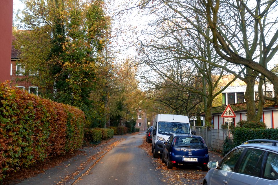 Blostwiete in Hamburg-Horn