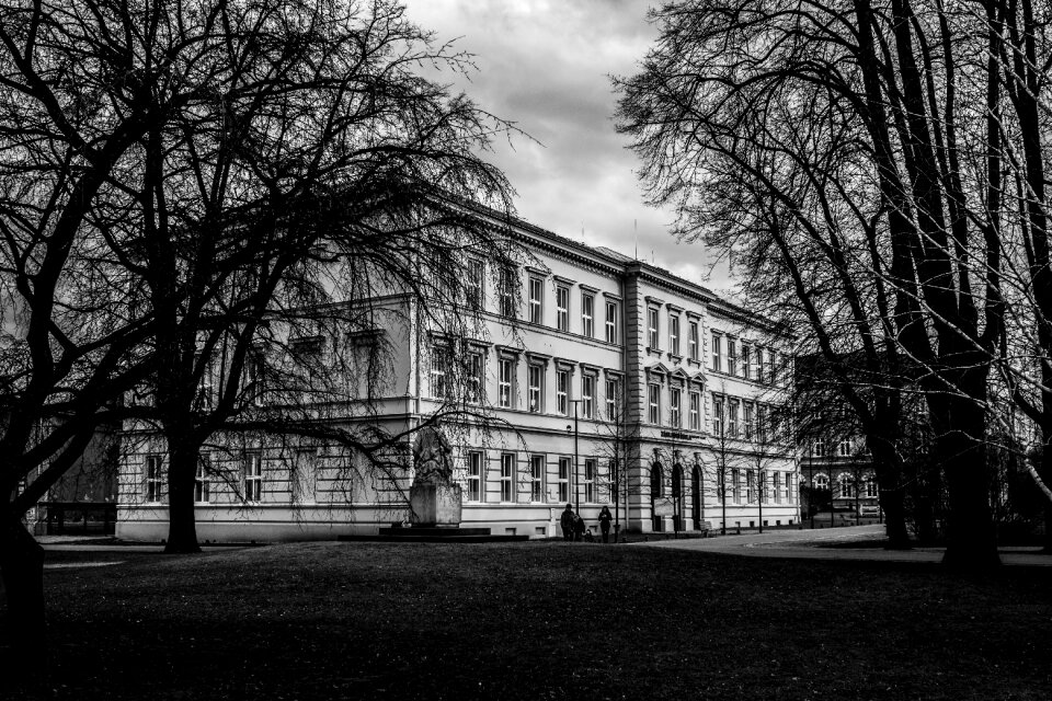 Black and white trees building