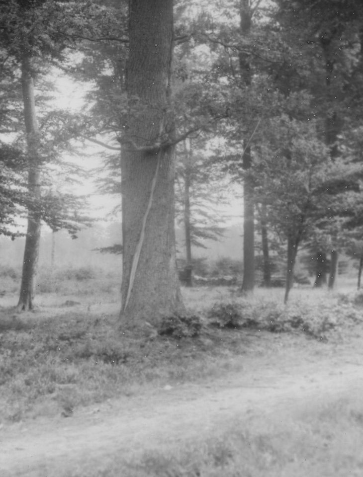 Blikseminslag, Bestanddeelnr 194-0524