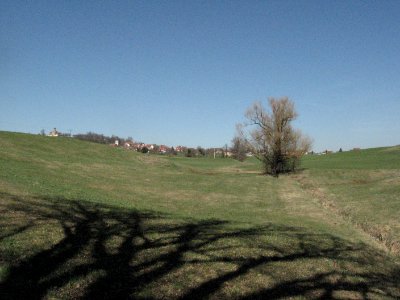 Blick von unterhalb des Dieselhofs auf Hohenberg