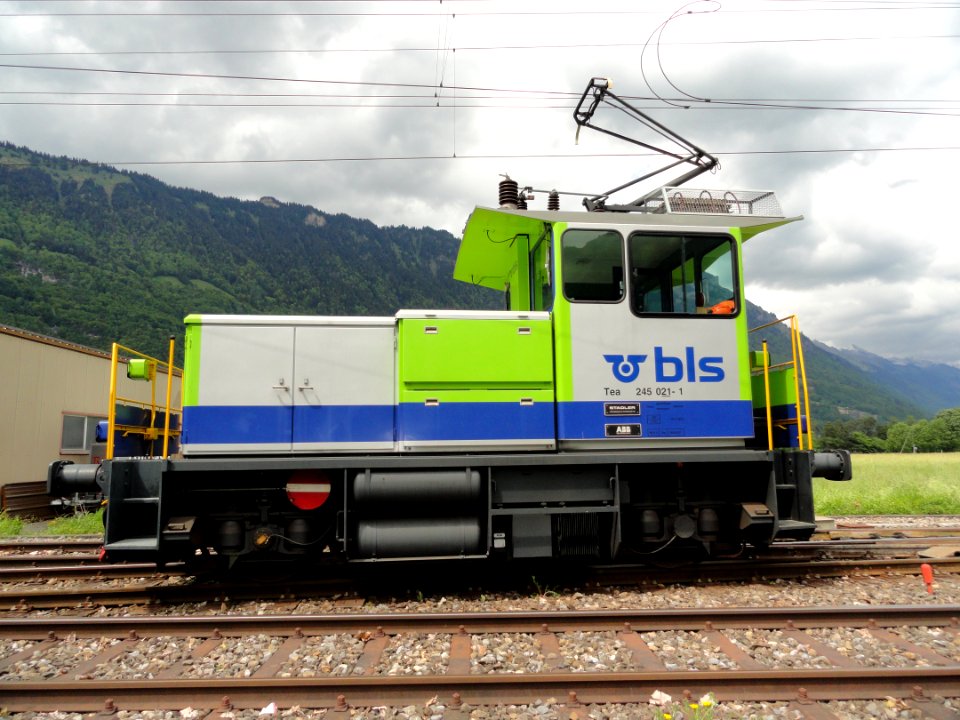 BLS Tea 245 021-1 pic3