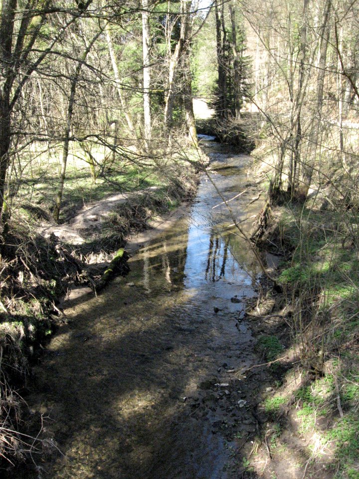 Blinde Rot, Blick talaufwärts von der Brücke auf dem Kammerstatter Weg