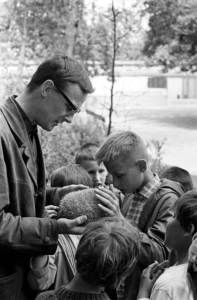 Blinde kinderen bezoeken Artis te Amsterdam Hans Rensebrink toont de kinderen e, Bestanddeelnr 915-2963