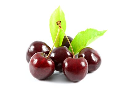 Fruit ripe cherries fruit garden photo