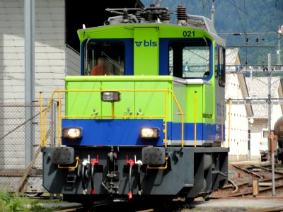 BLS Tea 245 021-1 pic1