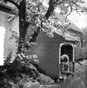 Bloesem bij Breukelen, Bestanddeelnr 906-4505