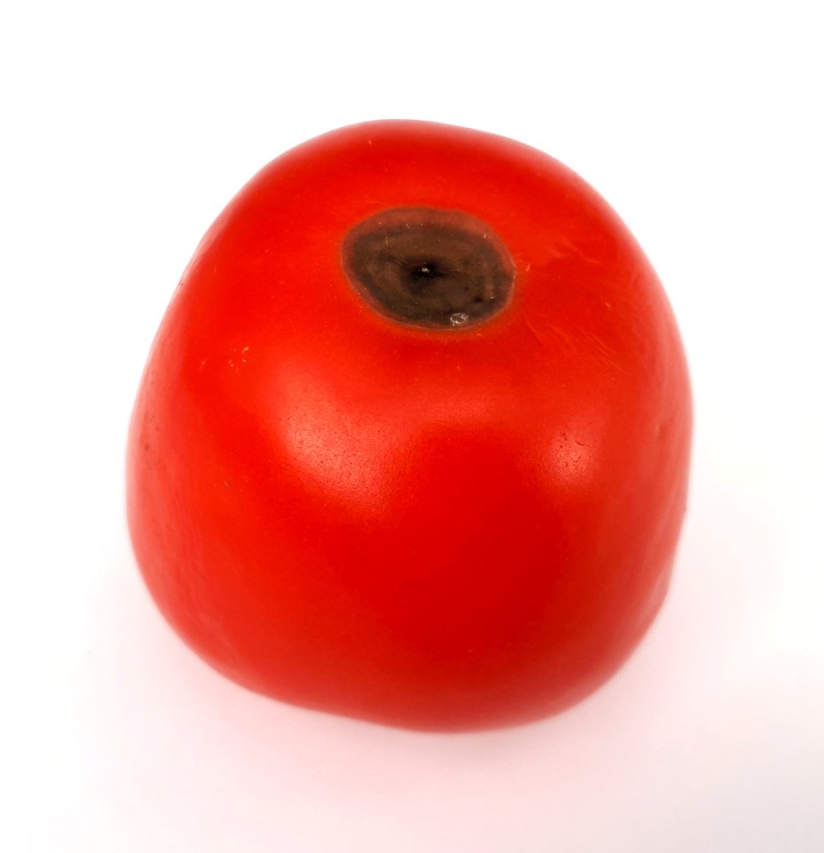 Blossom end rot tomato 2017 A