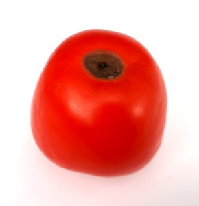 Blossom end rot tomato 2017 A