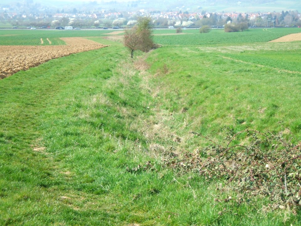 Blüßengraben Blick Norden abwärts