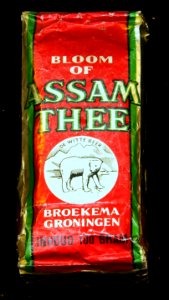 Bloom of ASSAM THEE, De witte beer, Broekema Groningnen