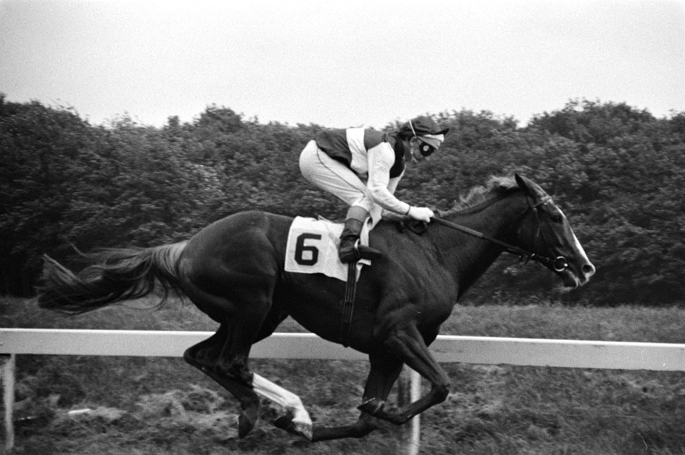 Blondie met jockey A.W. Jones gaat lange tijd voorop, Bestanddeelnr 931-0159