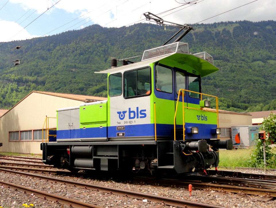 BLS Tea 245 021-1 pic4