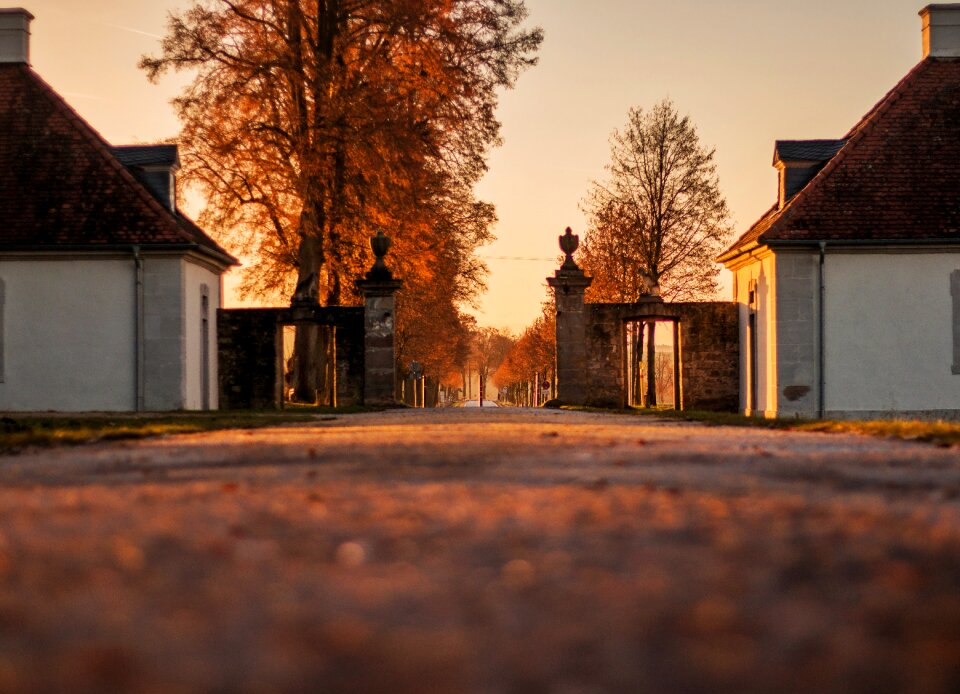 Autumn evening golden autumn