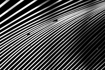 Black And White (109713403)
