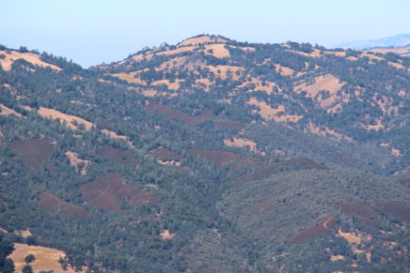 Black Mountain (Milpitas, California) viewed from Mount Hamilton, Aug 2019 (cropped)