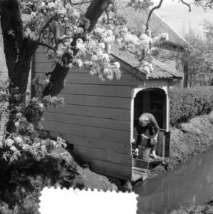 Bloesem bij Breukelen, Bestanddeelnr 906-4504