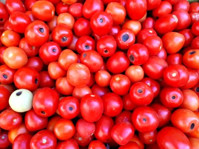Blossom end rot tomatoes 2017 A