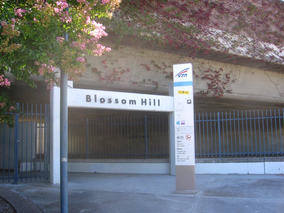Blossom Hill VTA 1024 09