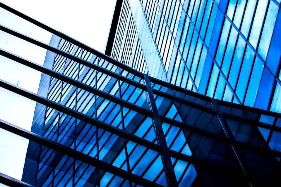 Black Blue Ii (107593231)