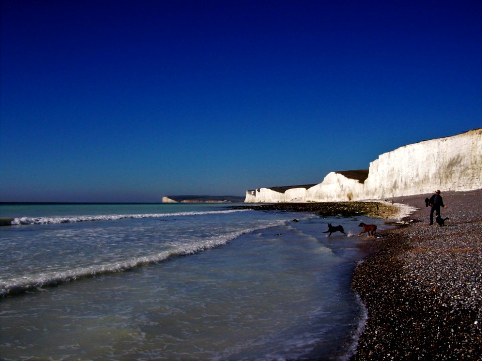 Birling Gap, February 2019 10