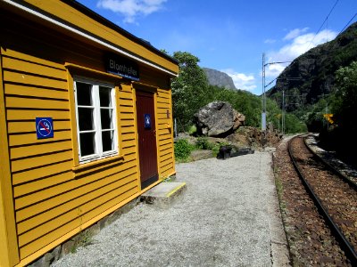 Blomheller-station