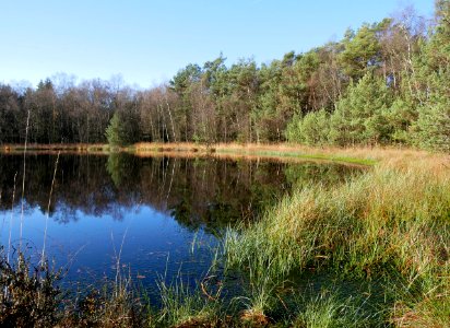 Birkensee im Oktober 2017