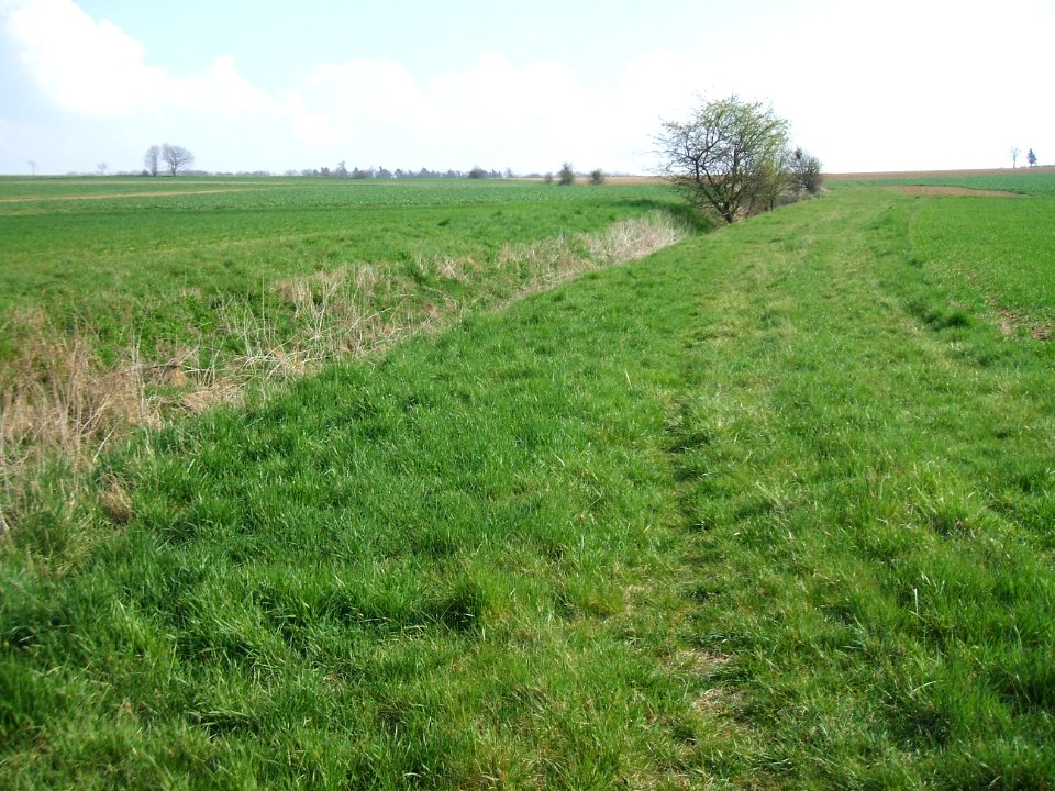 Blüßengraben Blick Süden aufwärts
