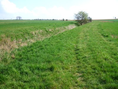 Blüßengraben Blick Süden aufwärts