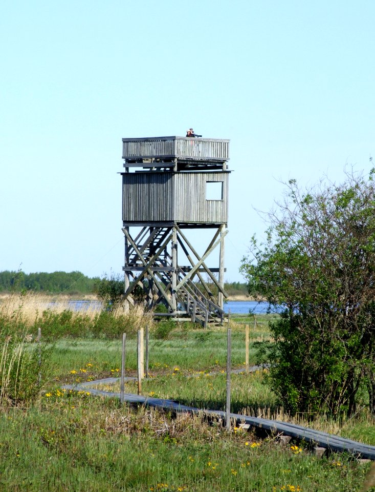 Birdwatching tower Liminka