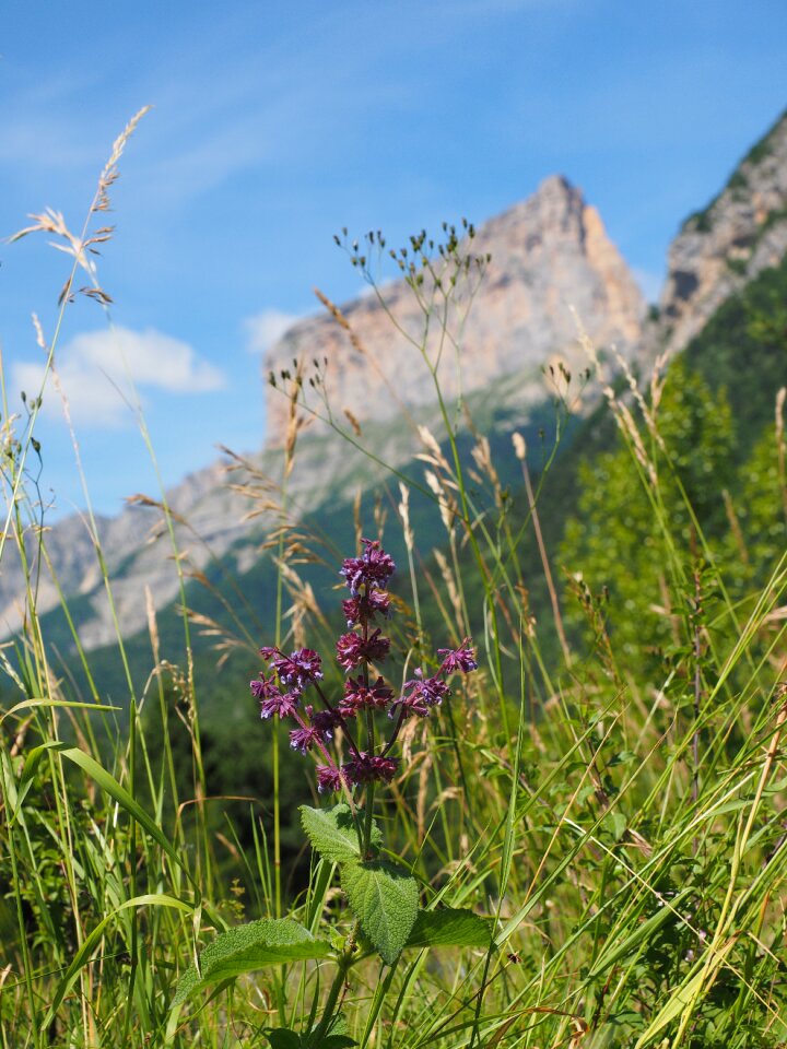 Vercors mountain range dauphiné-alps