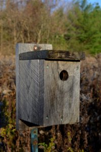 BirdhouseEastDonParkland