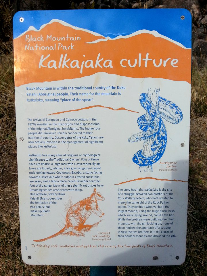 Black Mountain (Kalkajaka) National Park, Queensland 06