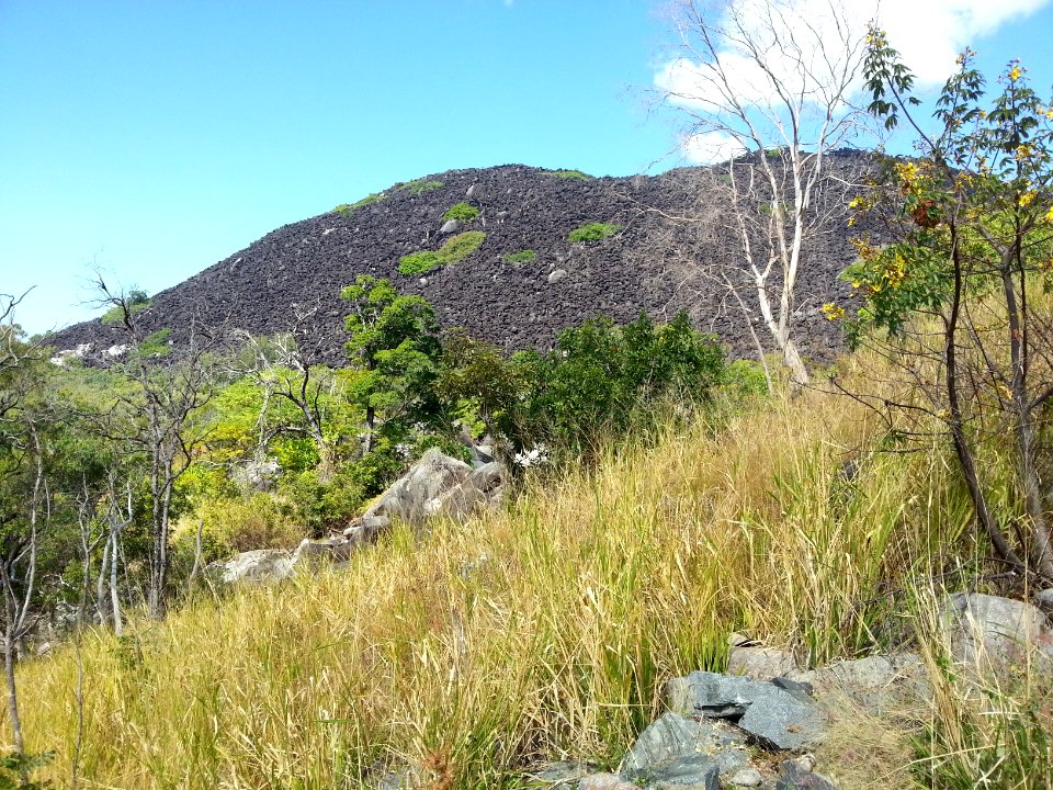 Black Mountain (Kalkajaka) National Park, Queensland 07