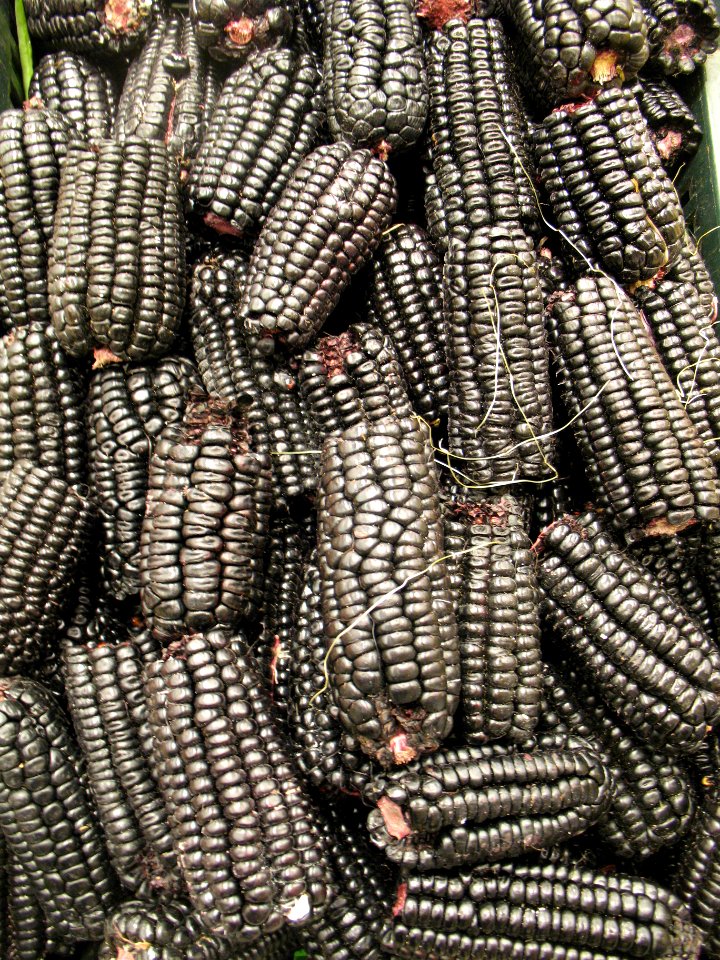 Black corn