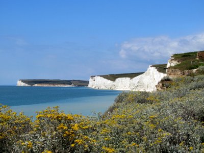 Birling Gap, June 2020 1