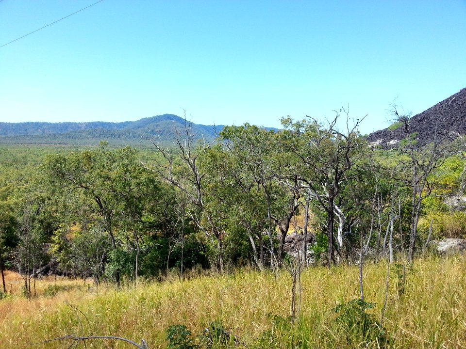 Black Mountain (Kalkajaka) National Park, Queensland 08