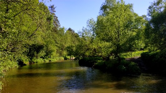 Bityagovo - Nikitskoye road 2019-05 6