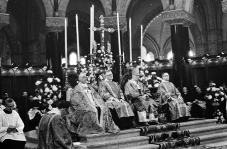 Bisschoppen, kardinalen, kathedralen, Zwartkruis, Theodorus, Bestanddeelnr 919-6871