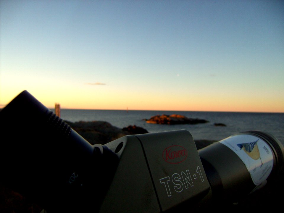 Bird watching at Landsort, April 2009
