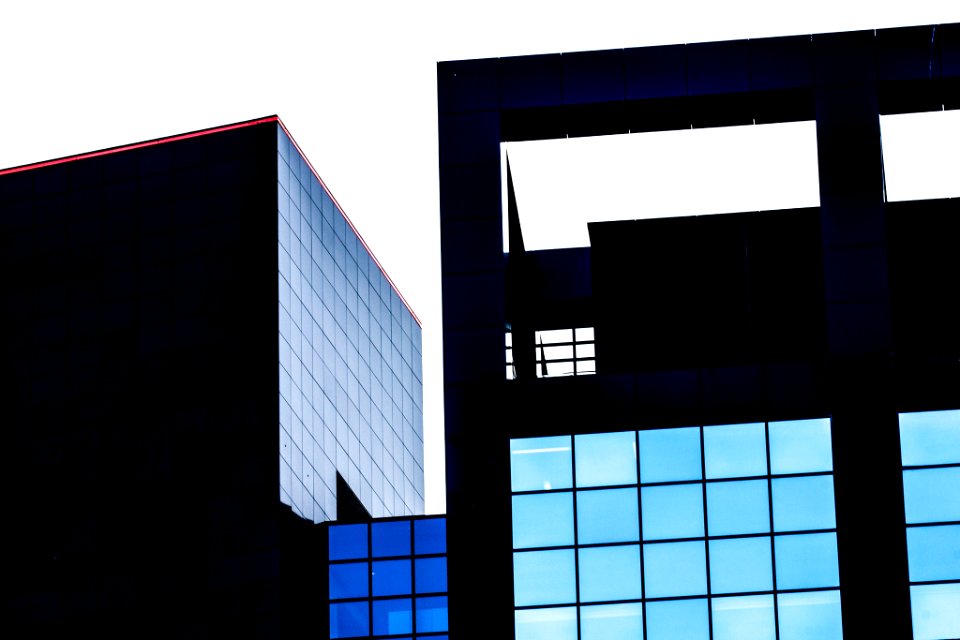 Black Blue (107339387)