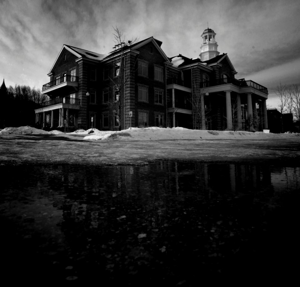 Black At Night (197641787)