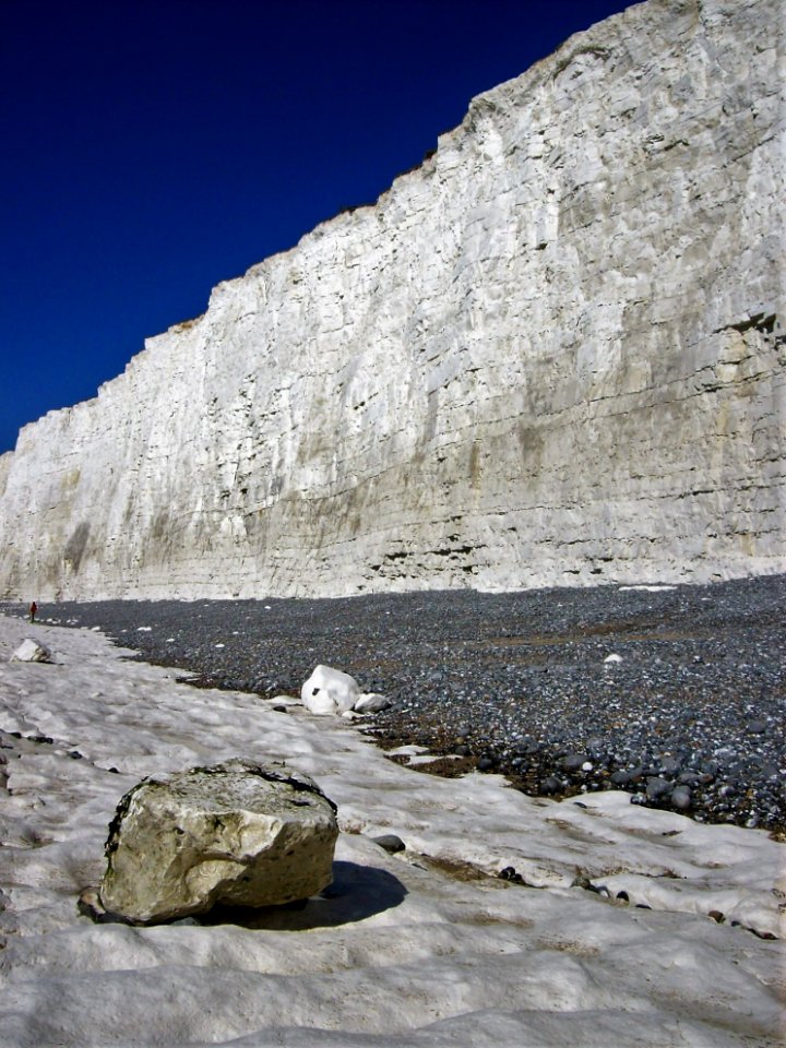 Birling Gap, February 2019 8