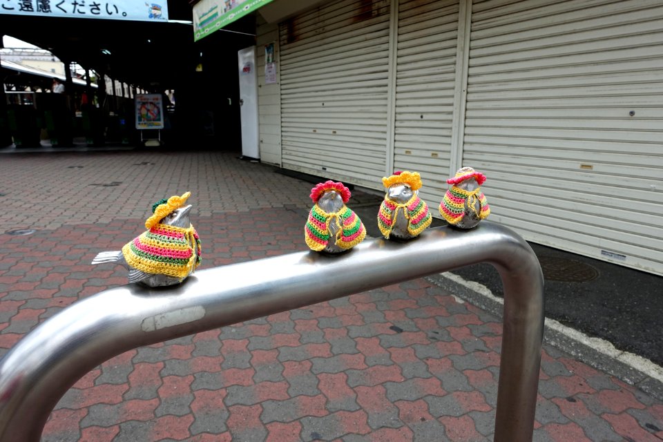 Birds at Enoshima Station - Katase, Fujisawa, Kanagawa, Japan - DSC07603
