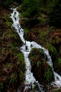 Black Forest National Park Baiersbronn 2020-03-11 43