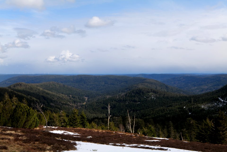 Black Forest from Kleine Grinde 2020-03-14 08