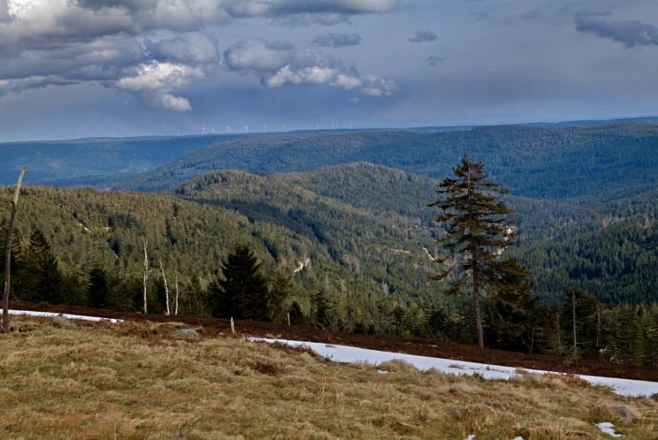 Black Forest from Kleine Grinde 2020-03-14 pixel shift 07 photo