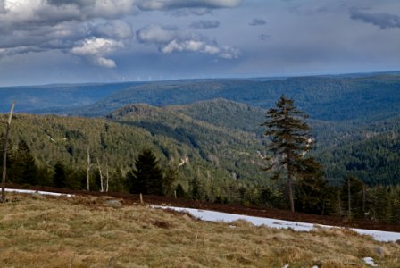 Black Forest from Kleine Grinde 2020-03-14 pixel shift 07 photo